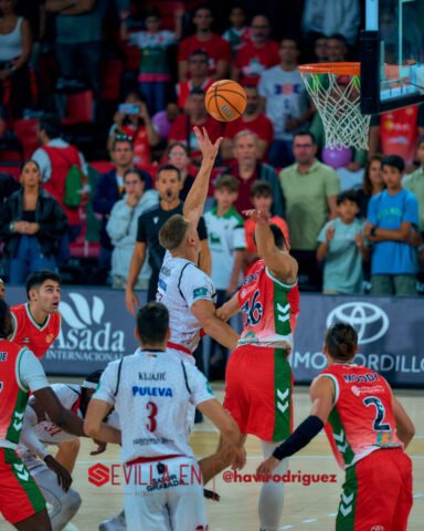 Insolac Caja87 vs Coviran Granada – Primera FEB