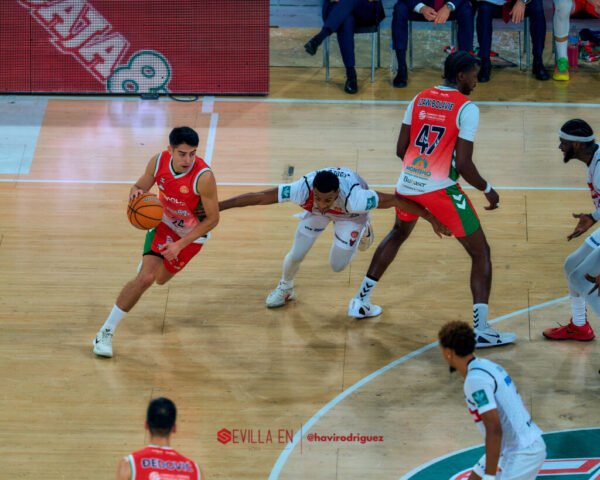 Insolac Caja87 vs Coviran Granada – Primera FEB