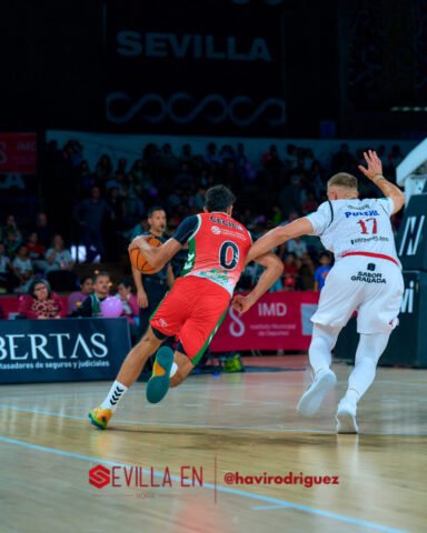 Insolac Caja87 vs Coviran Granada – Primera FEB