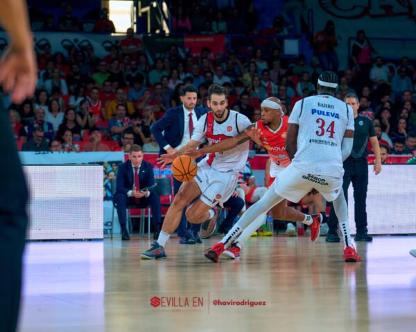 Insolac Caja87 vs Coviran Granada – Primera FEB