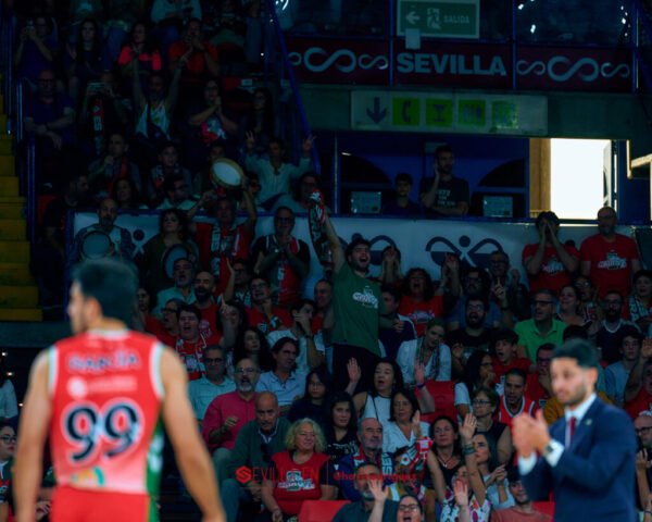 Insolac Caja87 vs Coviran Granada – Primera FEB