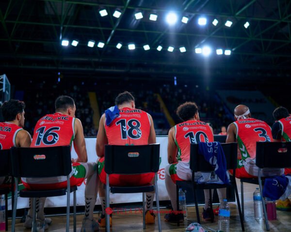 Insolac Caja87 vs Coviran Granada – Primera FEB