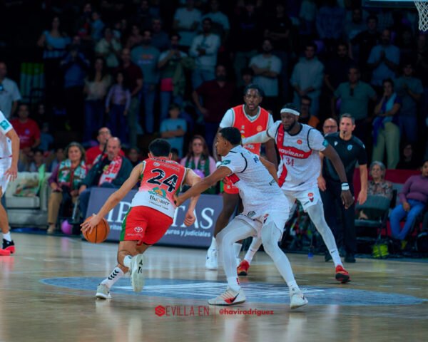 Insolac Caja87 vs Coviran Granada – Primera FEB