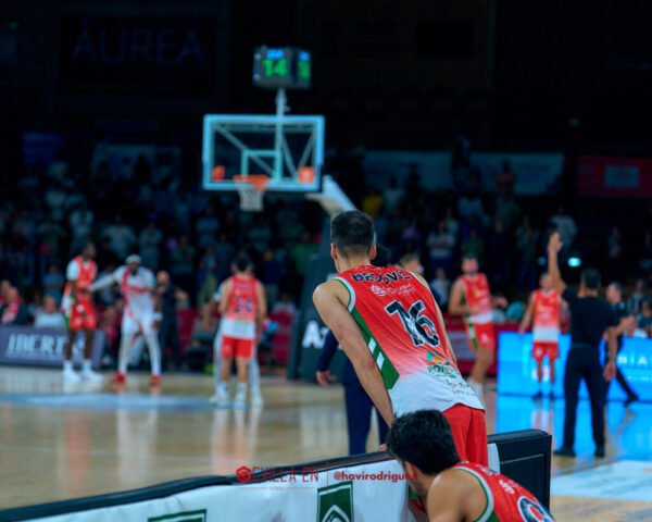 Insolac Caja87 vs Coviran Granada – Primera FEB