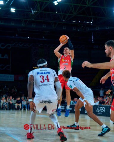 Insolac Caja87 vs Coviran Granada – Primera FEB